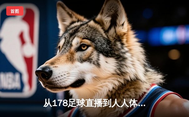 从178足球直播到人人体育：体育资讯网的垂直化与生态构建