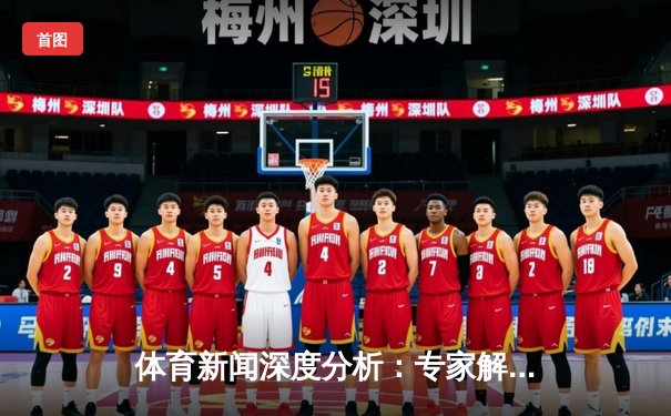 体育新闻深度分析：专家解读